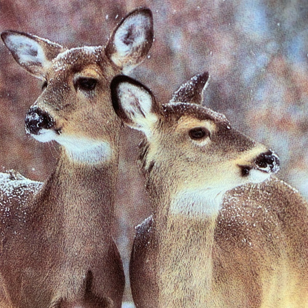 “Winter Warmth” Carl R. Sams Deer Collector Plate 1st Issue Under A Snowy Veil